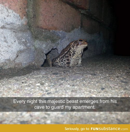 Guard toad
