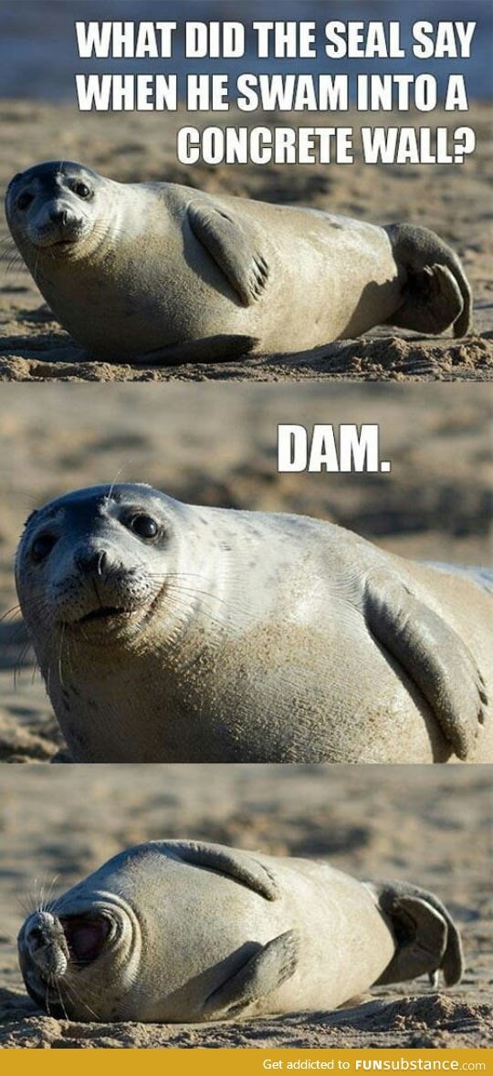 What did the seal say?