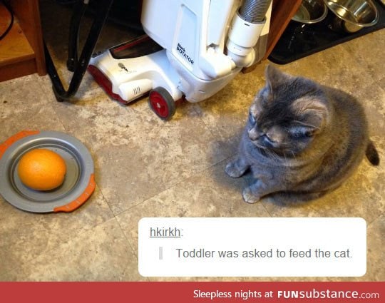 This is what you get when a toddler tries to feed a cat