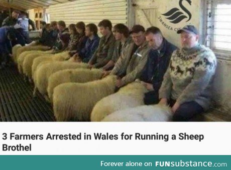 Only in Wales..