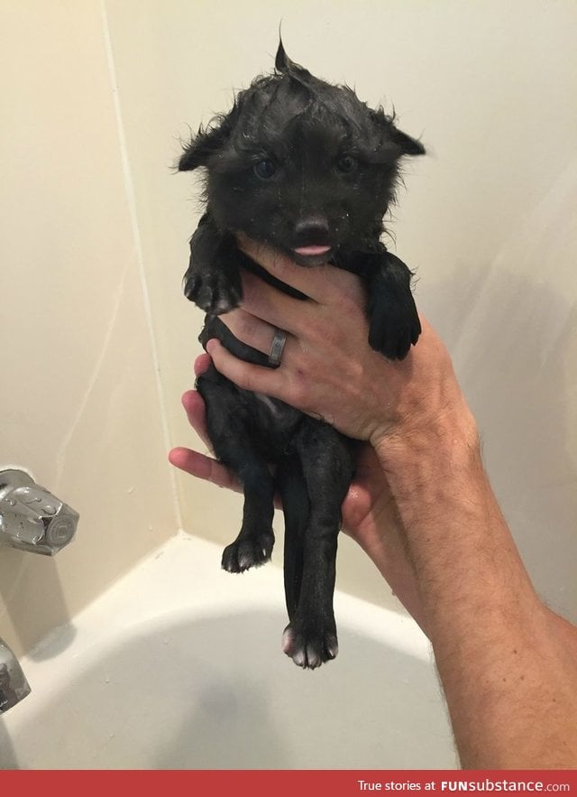 Day 257 of your daily dose of cute: Bath time