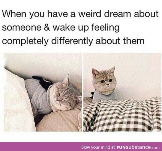 Having a weird dream about someone