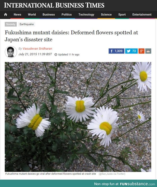 Mutated flowers at Fukushima