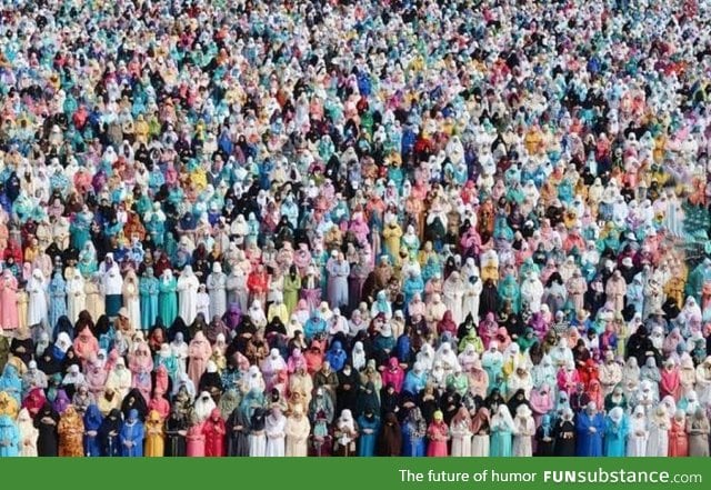 Women praying in Morocco. It looks like a painting