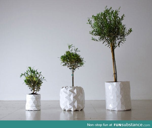 Origami pot that grows together with your plants