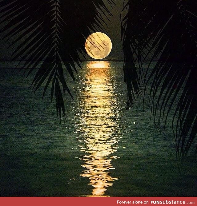 Mesmerising view of moon in Maldives