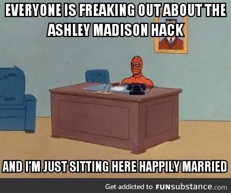 My view of the Ashley Madison hack