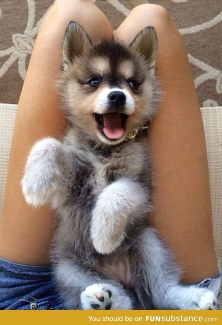 Tummy tickles is happiness