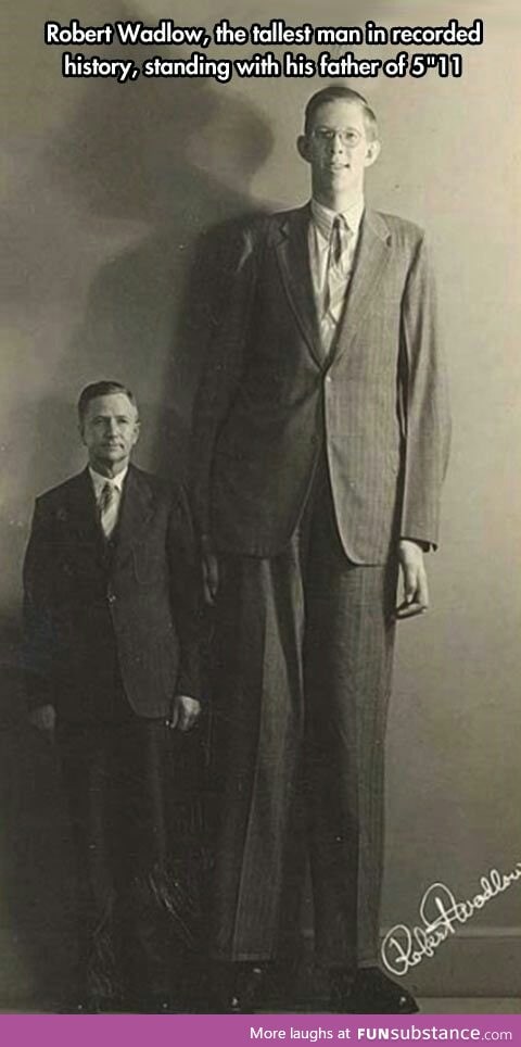 The tallest man ever
