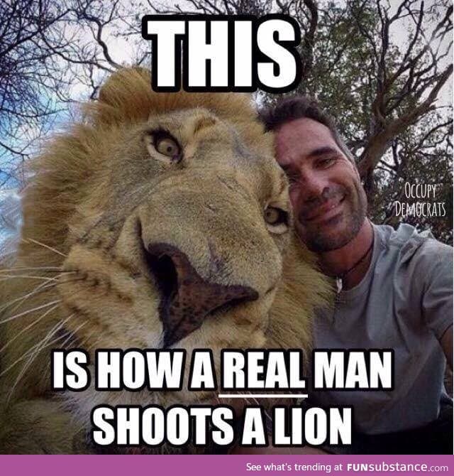 How to properly shoot a lion