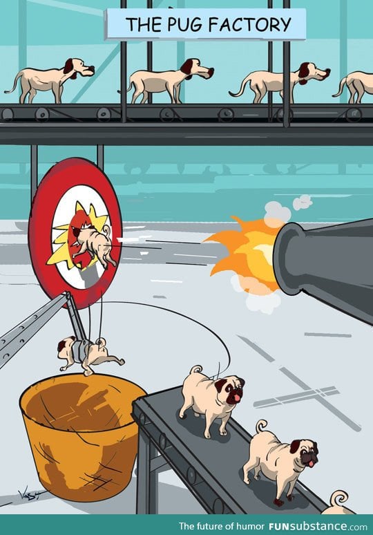 How they make pugs