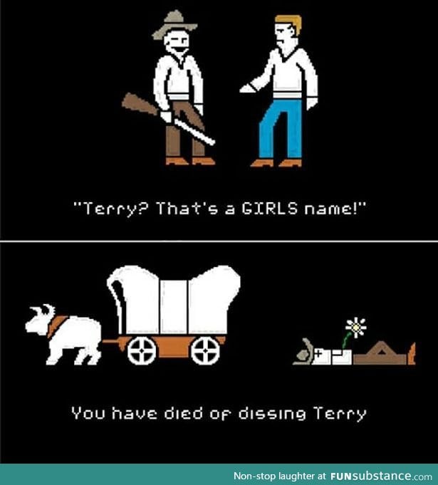 Dissing terry