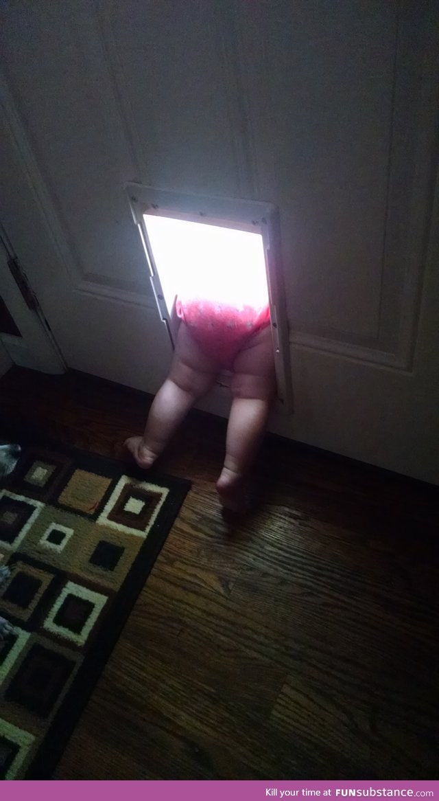 Little girl just discovered the doggy door