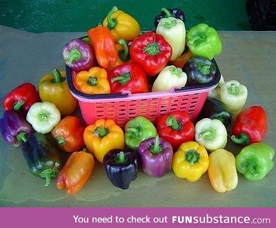 Bell peppers come in a variety of colors