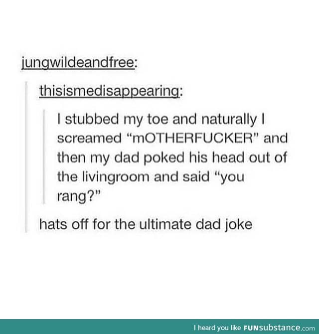 f*cking Dad joke