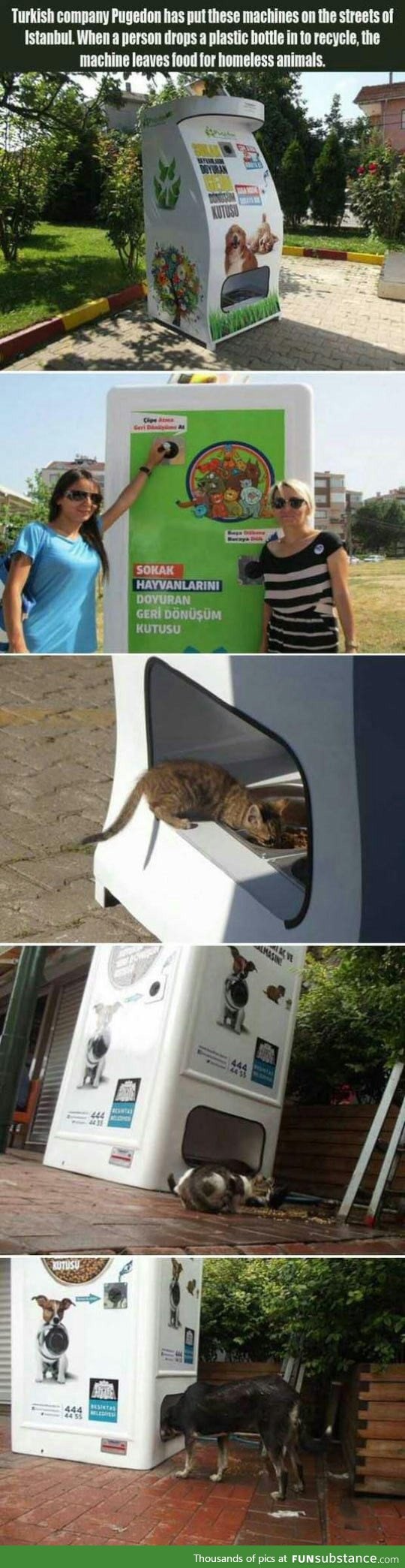 A clever idea for a pet food dispenser
