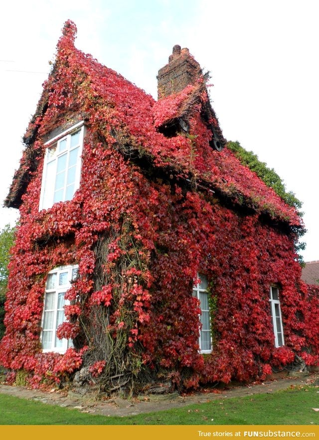 Gatekeeper's Cottage in Sandwell