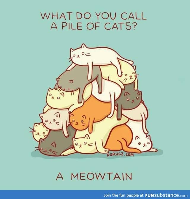 A meowtain!