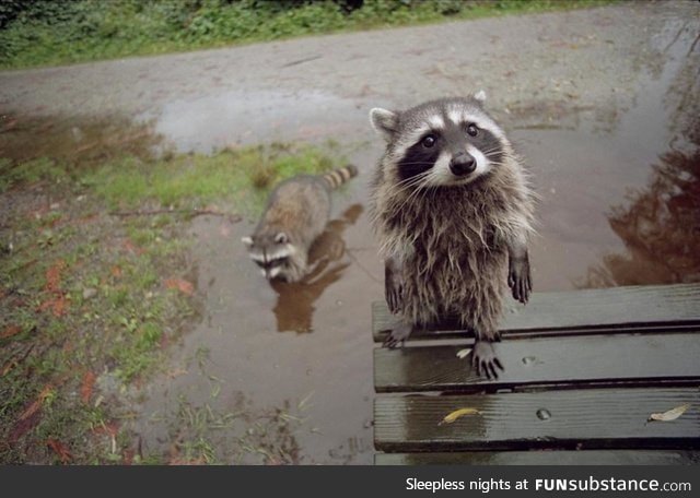 "Can we play in your puddle?"