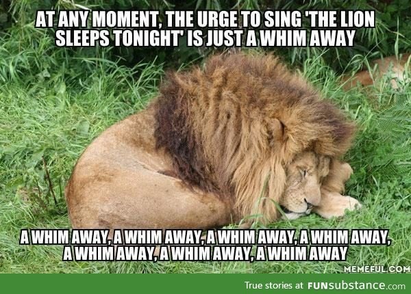 Just a whim away