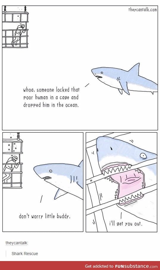 Good guy shark