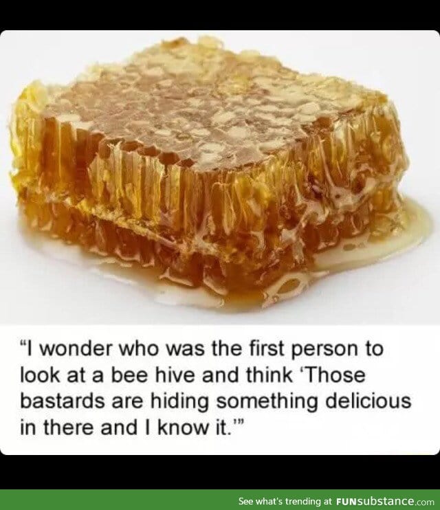 How did they discover honey?