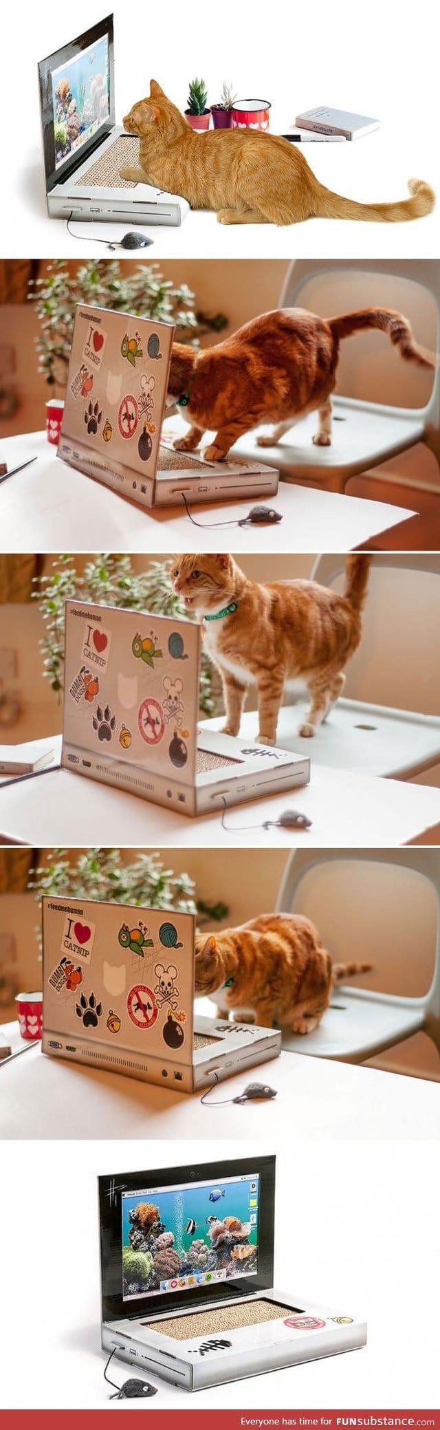 A Laptop For Your Cat So It Won't Destroy Yours Or Your Work
