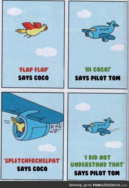 Pilot tom