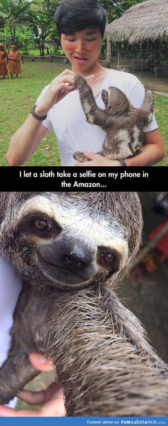 The cutest sloth selfie