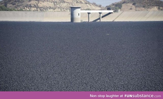 A reservoir in LA was filled with 96 million plastic balls to prevent evaporation