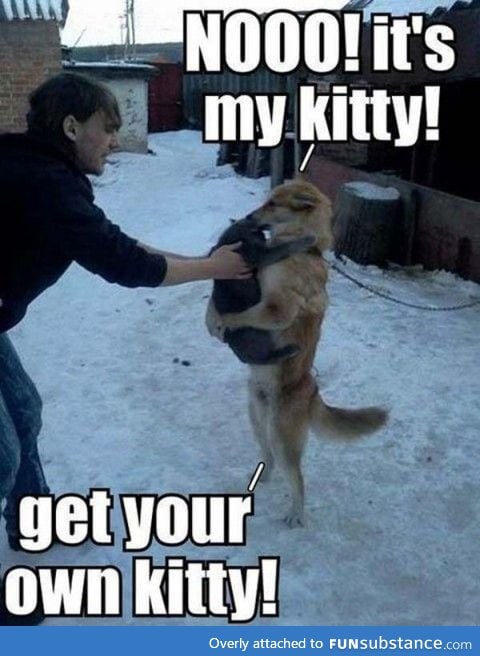 Get your own kitty