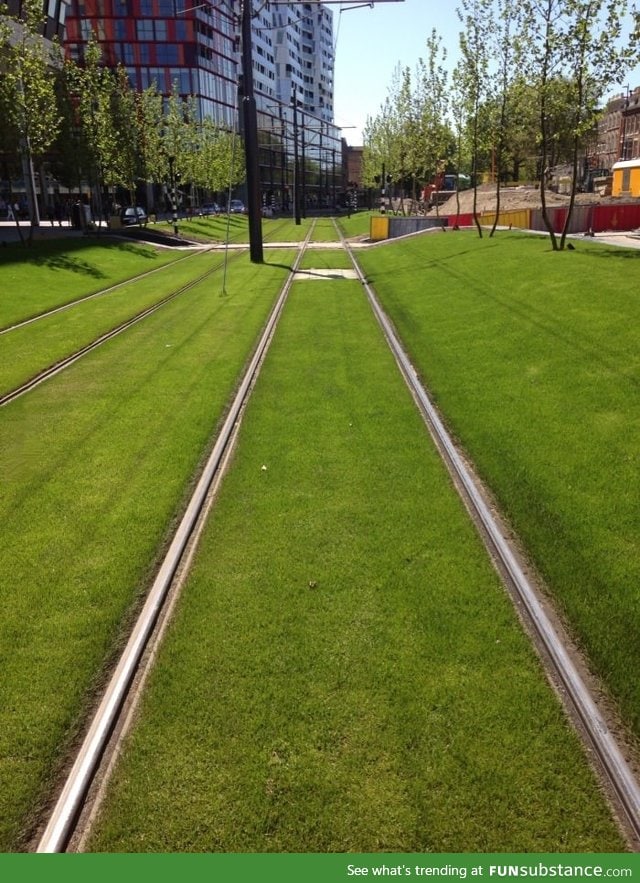 Anyone else find something so satisfying when tram tracks are filled in with grass
