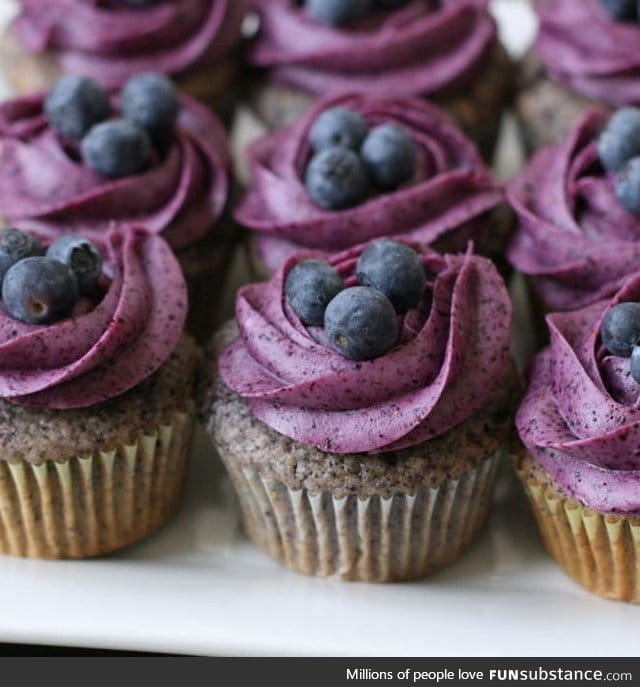 Blueberry cupcakes with blueberry cream cheese frosting