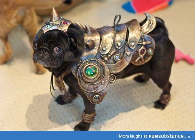 War pug