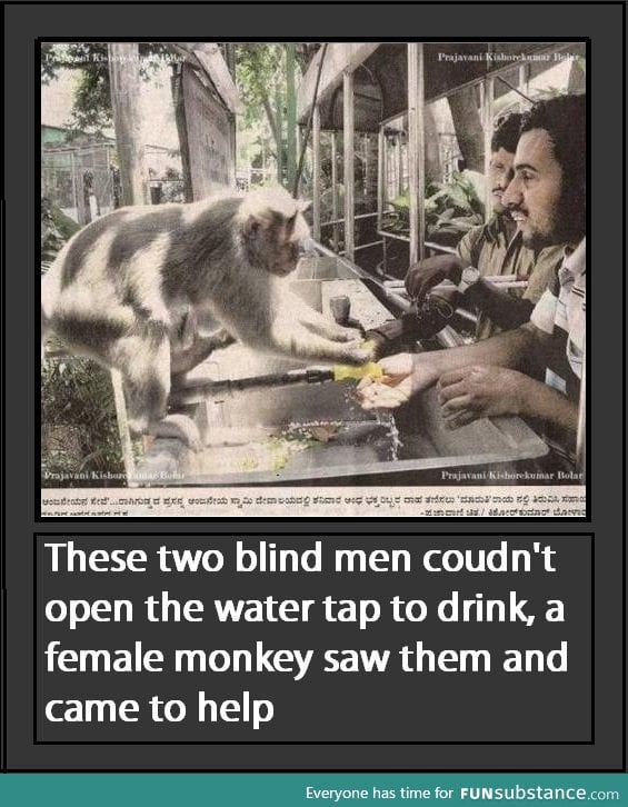 Monkey helping blind men with water