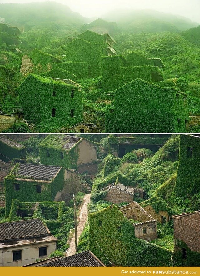 Abandoned chinese fishing village being swallowed by nature