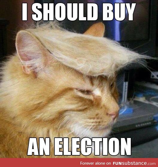 Making americat great again