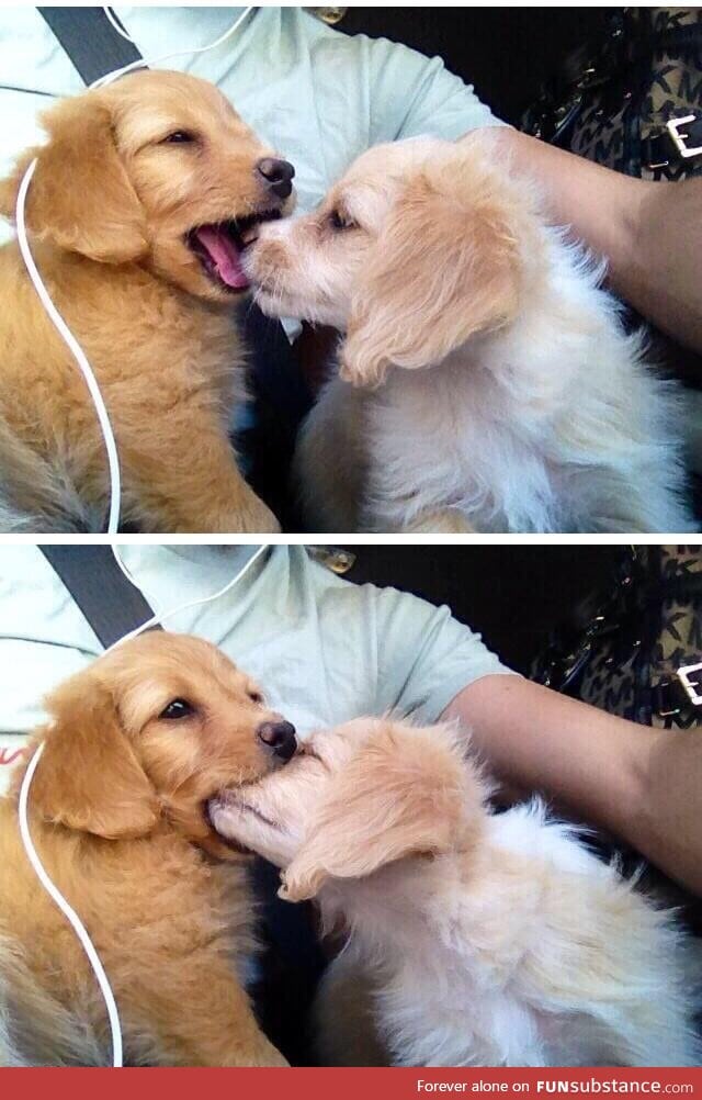 How my first kiss will go