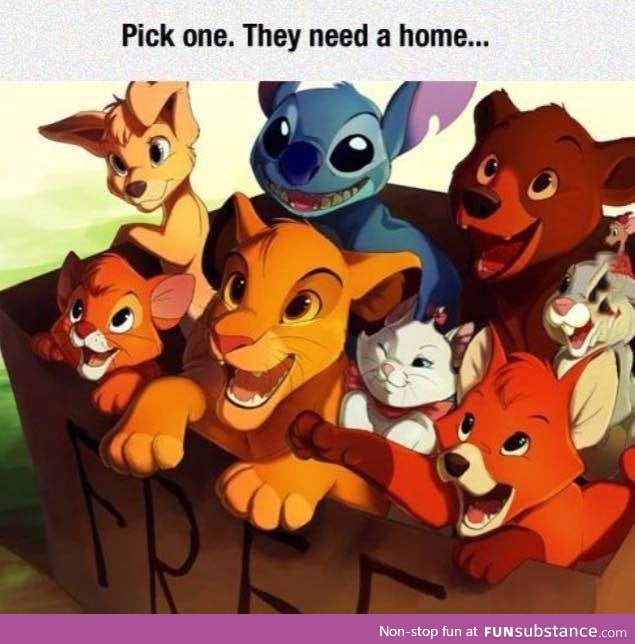 Which pet would you choose?