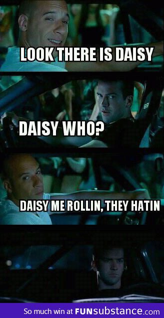 Daisy see me rollin, they hatin