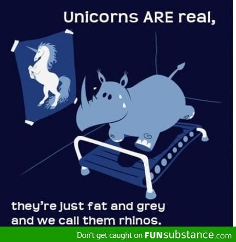 Rhinos = Fat Unicorns