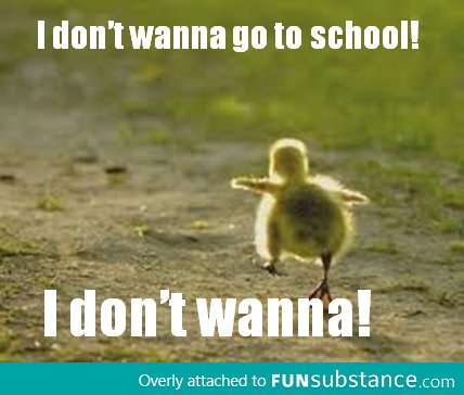 School