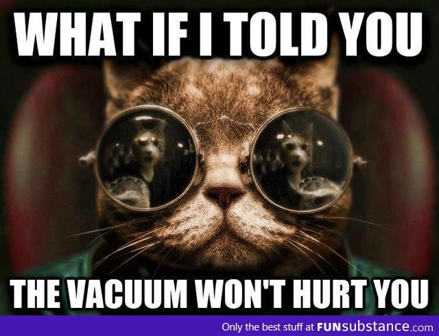 Cats should know