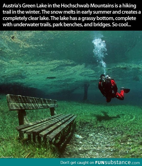 An underwater park