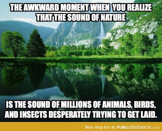 That precious sound of nature