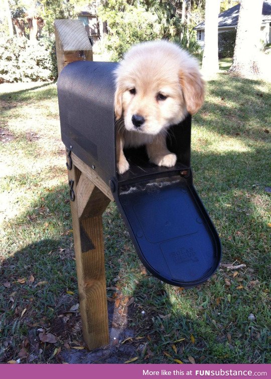 you have mail today!!!
