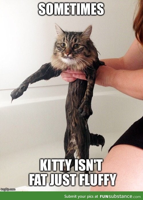 ... Poor kitty