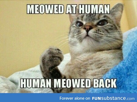 Meowed at human