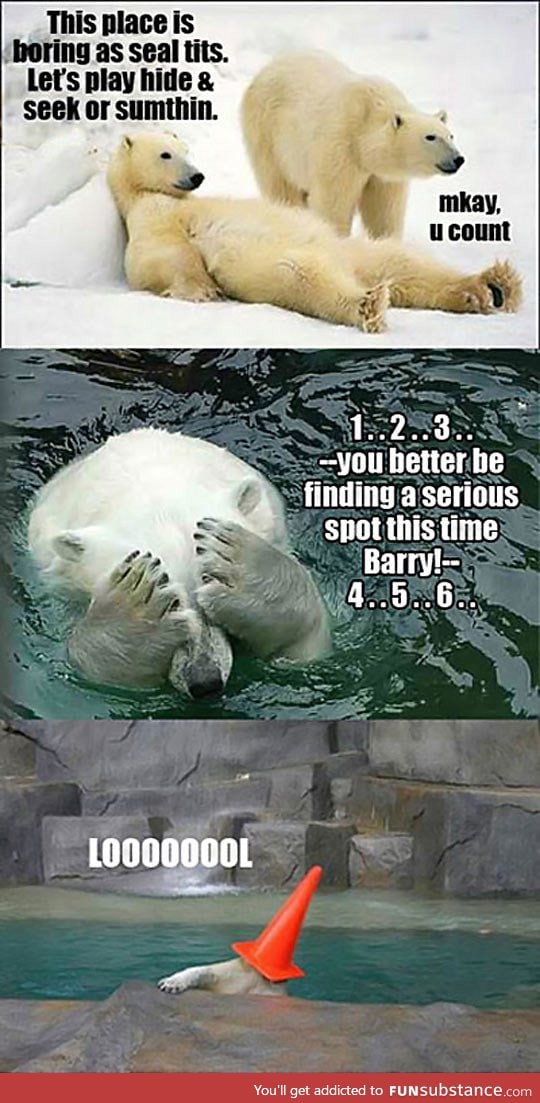 Bored polar bears