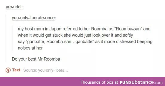 Roomba-san